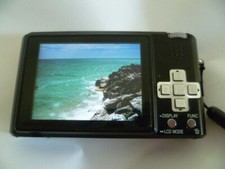 Panasonic Lumix DMC-FX100 Digital camera LEICA 12 MEGA PIXEL MADE JAPAN 4U2FIX