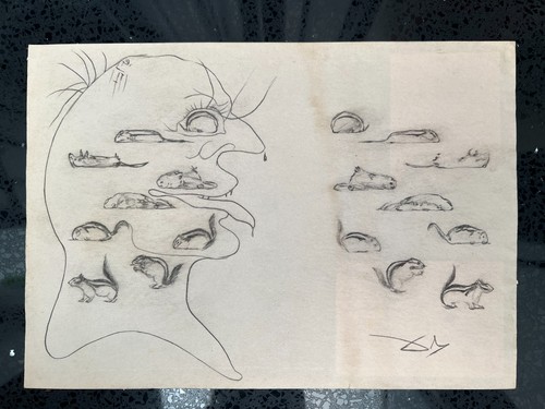 Salvador dali drawing - dali,