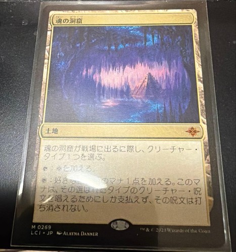 Mtg grotta delle anime - mtg,