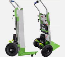 SCIARPA DONNA ROSA MEMORABILLA