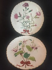 Coppia Piatto Fiori XIX° da