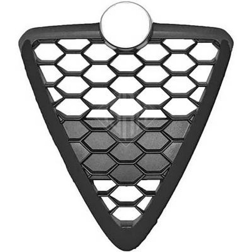 Griglia radiatore antracite