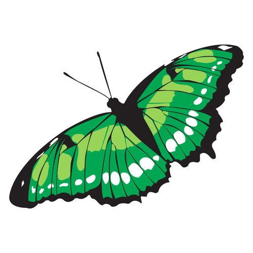 Adesivi auto sticker - 5,