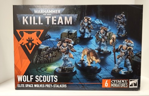 Warhammer kill team wolf - team,