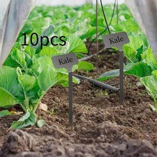 10 etichette per piante