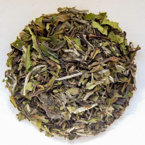 Pai tan tè bianco - tan,