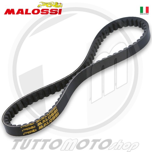 6116118 cinghia malossi k - 6116118, x