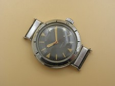 Rarissimo Vostok Anfibio