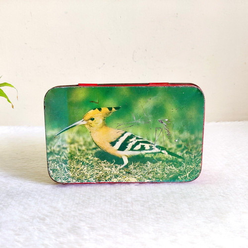 Vintage upupa uccello immagini - vintage,