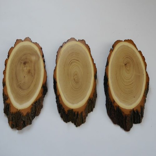 Pezzi acacia grande targa - 3, di