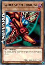 GAMBA SX DEL PROIBITO (Left Leg Forbidden One) • Comune • LDK2 ITY08 • Unl 2024