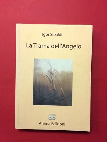 Trama dell angelo igor - trama, dell'angelo-di