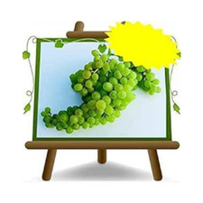 Vite Apirene Sultanina -