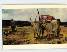 Cartolina Maremma Toscana di