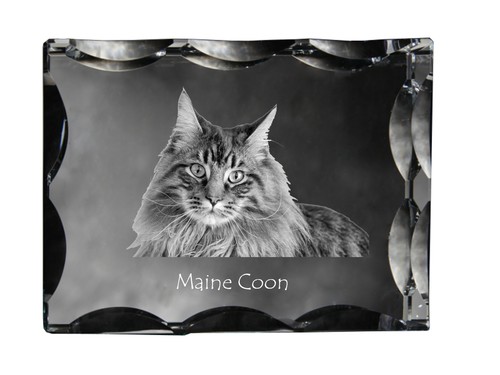 Collana maine coon con - collana,