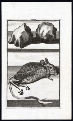 Stampa antica pietre - stampa,