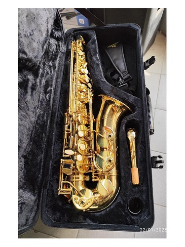 Sax alto buffet - sax, crampon