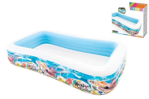 Piscina family pesci - family,