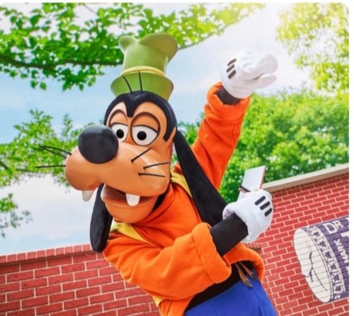 Disney pippo - pippo, (goofy)