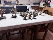 Vendo Esercito Bestie Del