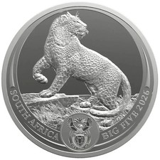 Sudafrica 5 bordi 2026 Big