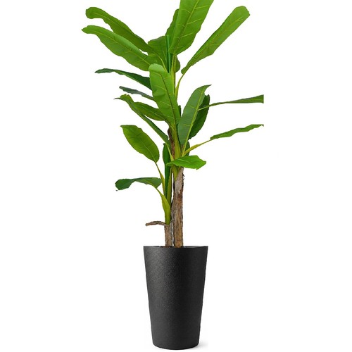 Pianta banano artificiale - pianta,