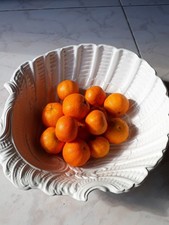 Centrotavola Art Nouveau Liberty Ceramica Bianca Antica Este Vaso Nautilus