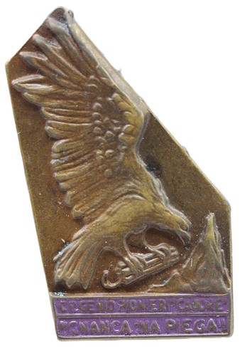 Distintivo alpini guastatori - distintivo,