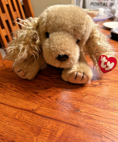 Peluche cane cucciolo - , ty