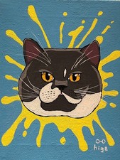 British Shorthair gatto