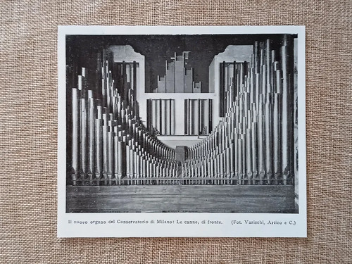 Nuovo organo del - nuovo,