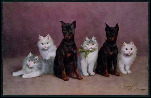 Arte sperlich gatti 2 - 4,