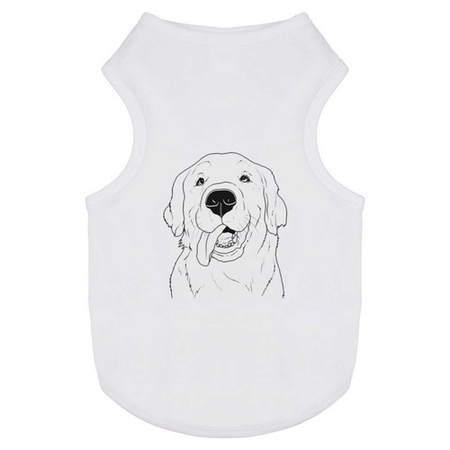 Golden retriever face - 'golden, face'