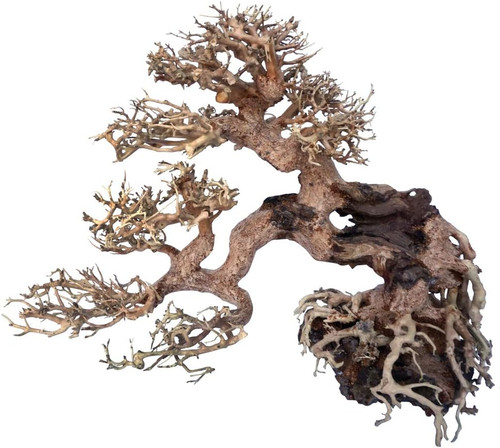 Legno oriental wind fatto - legno,