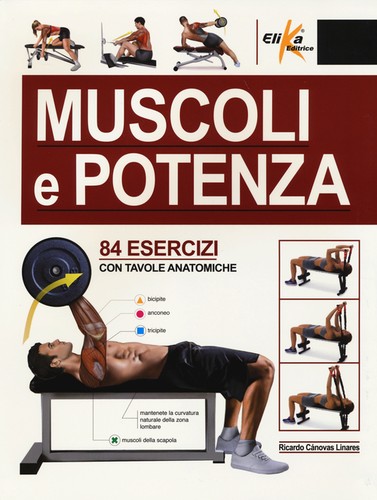 Muscoli potenza 84 esercizi - potenza.,