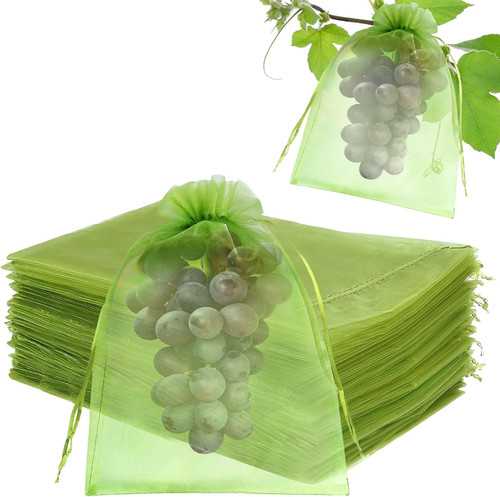 Sacchetti per uva - uva, x