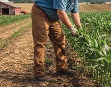 Pantalone Dickies Uomo 44X30