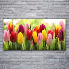 Pittura su Vetro Acrilico 120x60 Quadri Arredo Arte Tulipani Decorazione