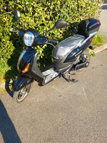 Scooter elettrico usato - elettrico,