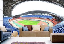 3D Stadium Site 17475NA