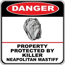 Insegna Traversamento Pericolo