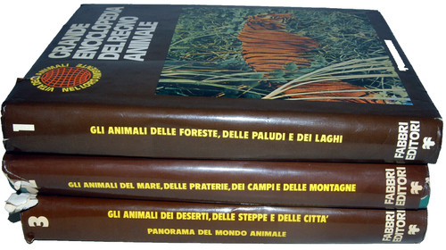 Grande enciclopedia del - grande,
