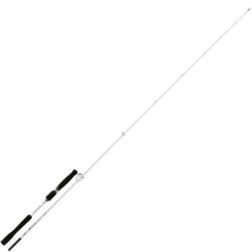 Canna spinning rapture - canna,