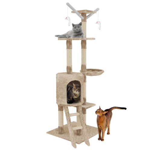 Tiragraffi albero gatto