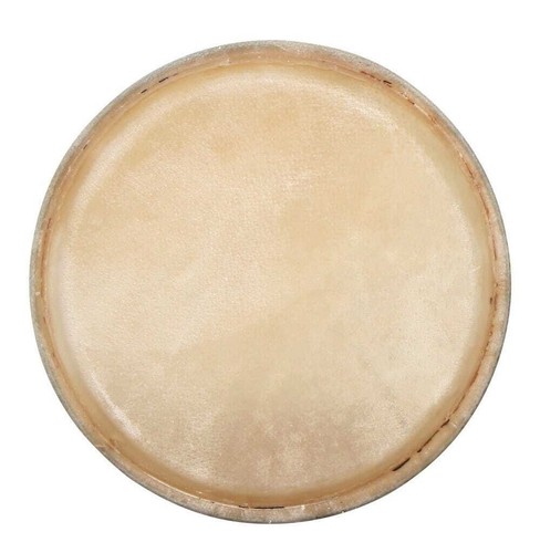 Club salsa f847251 testa - f847251,