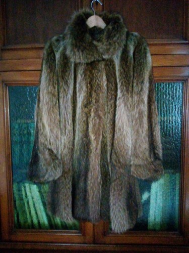 Pelliccia marmotta usata - pelliccia,