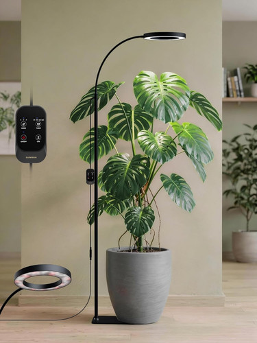 Lampade per la - lampade,