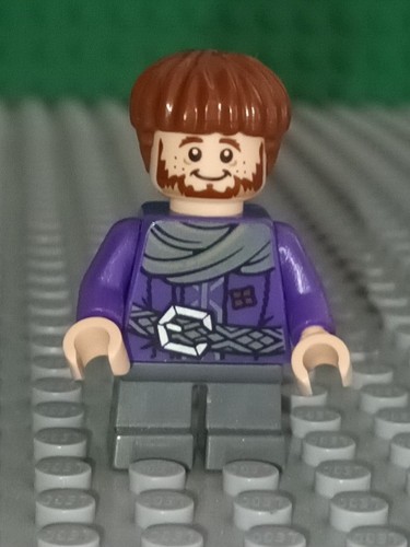 Lego signore degli - il,