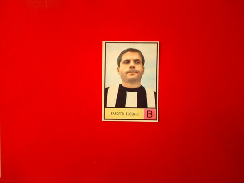 Fascetti album figurine - album,