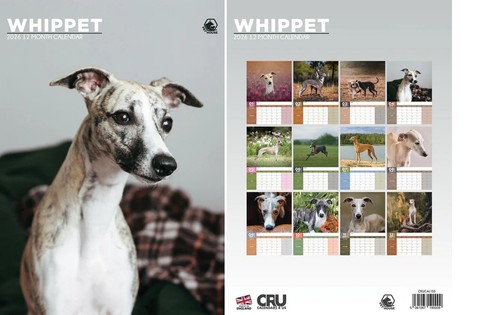 Whippet 2026 calendar a3 - whippet,